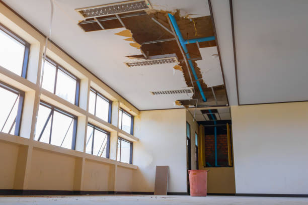 Best Basement water damage restoration  in Forest Acres, SC