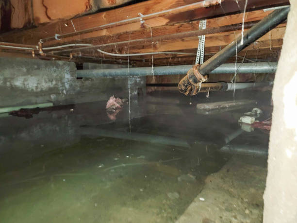 Best Water damage restoration insurance claims  in Forest Acres, SC