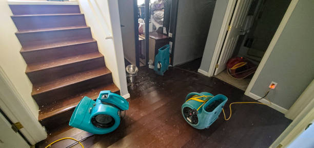 Reliable Forest Acres, SC Water damage restoration Solutions