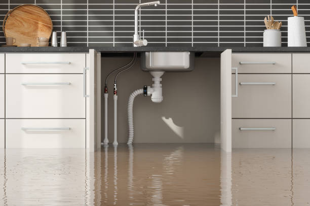 Best Water damage restoration process  in Forest Acres, SC