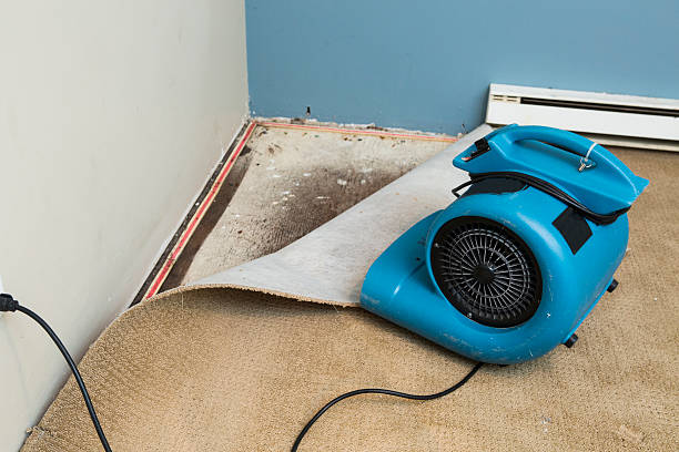 Best Emergency water damage restoration  in Forest Acres, SC